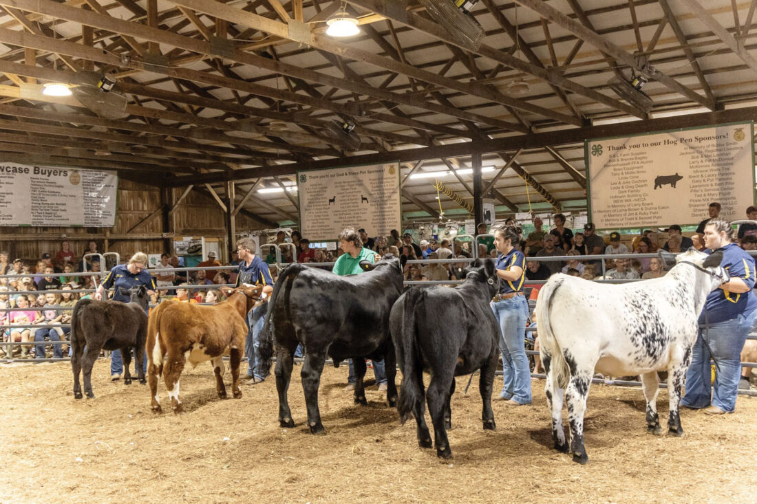 Wood County 4-H honors members, volunteers for 2025 achievements